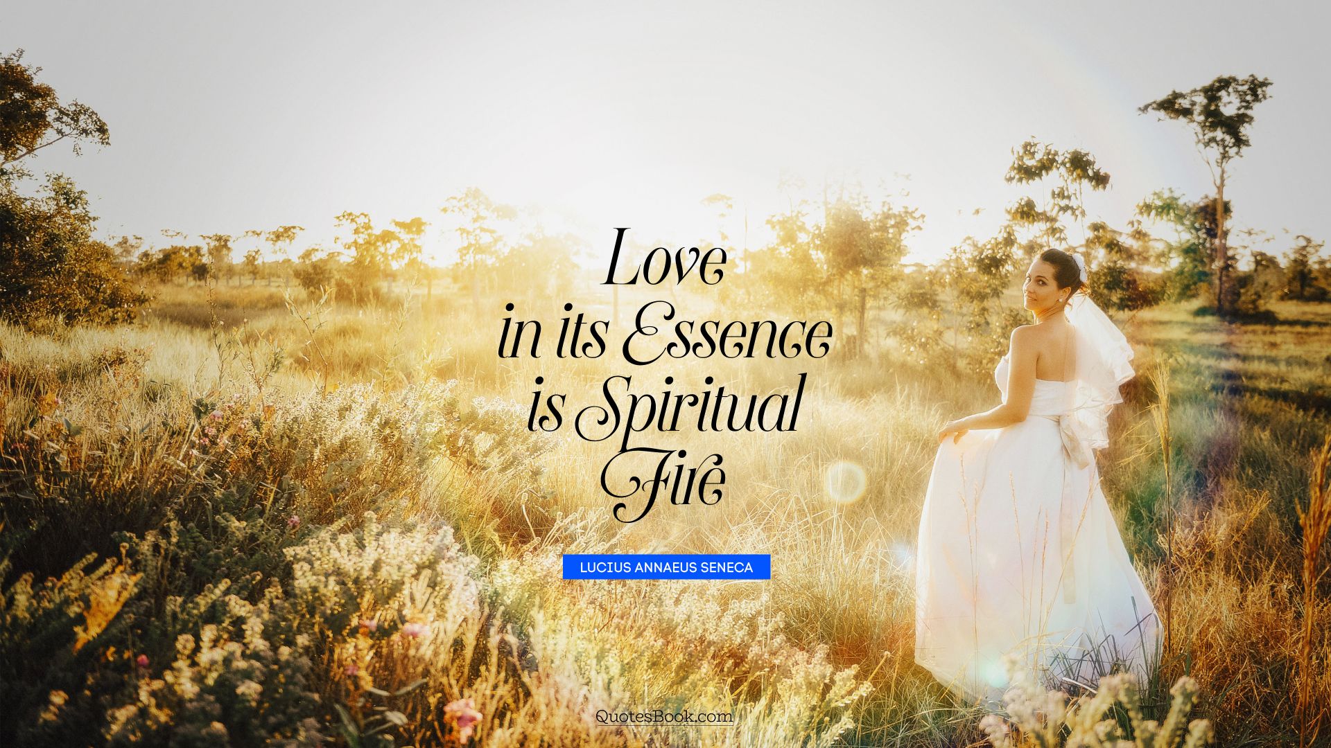 Love in its essence is spiritual fire. - Quote by Lucius Annaeus Seneca