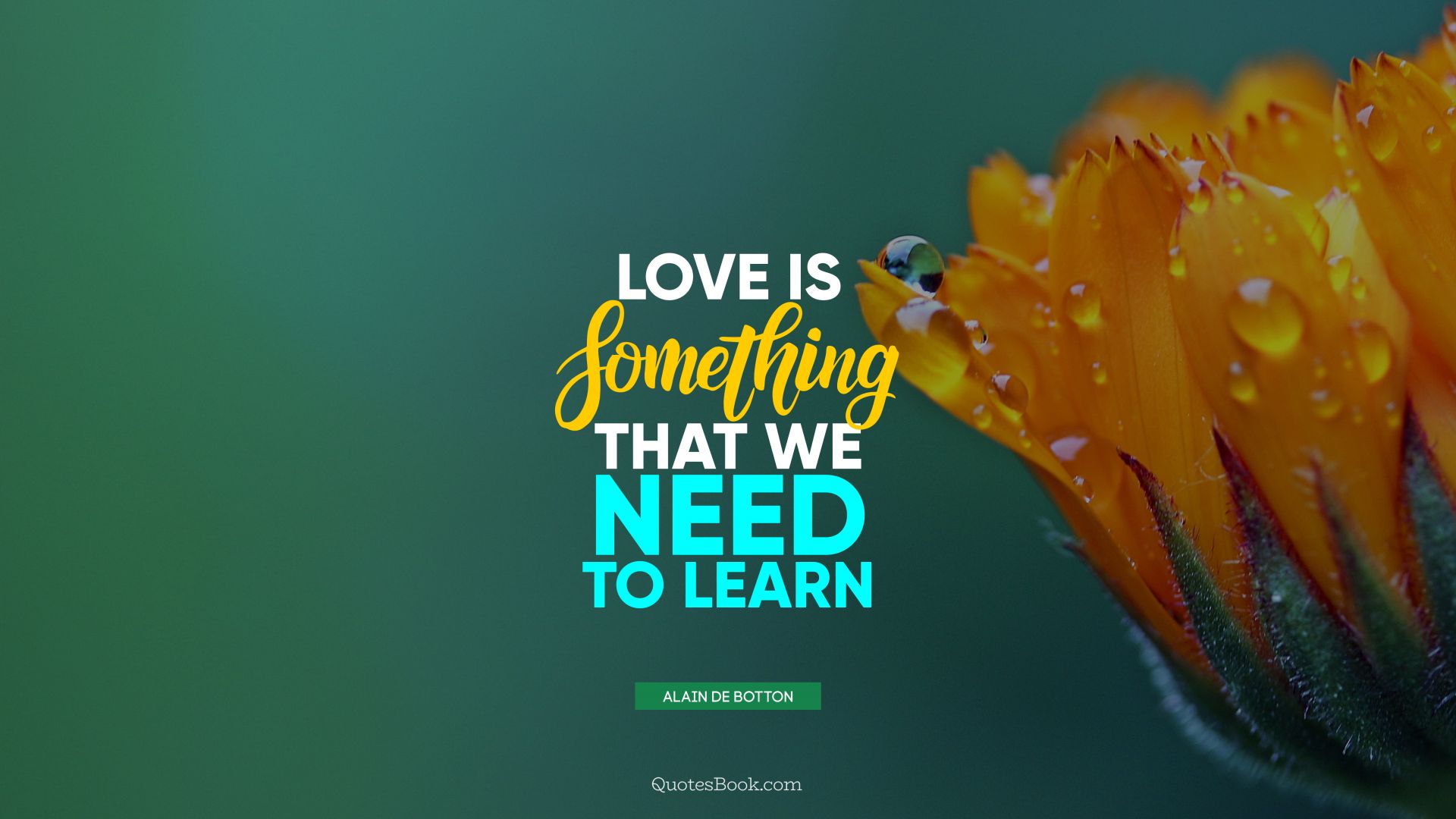 Love is something that we need to learn. - Quote by Alain de Botton