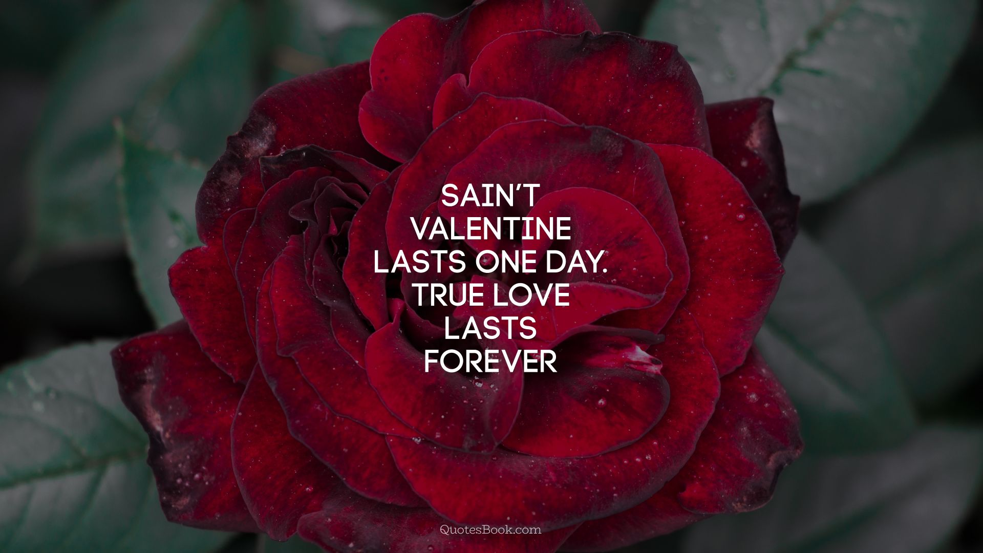 Sain’t Valentine lasts one day. True love lasts forever