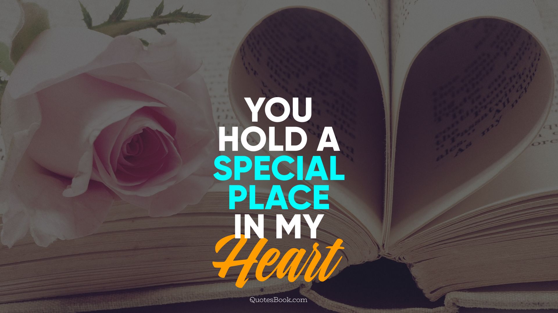 You hold a special place in my heart - QuotesBook