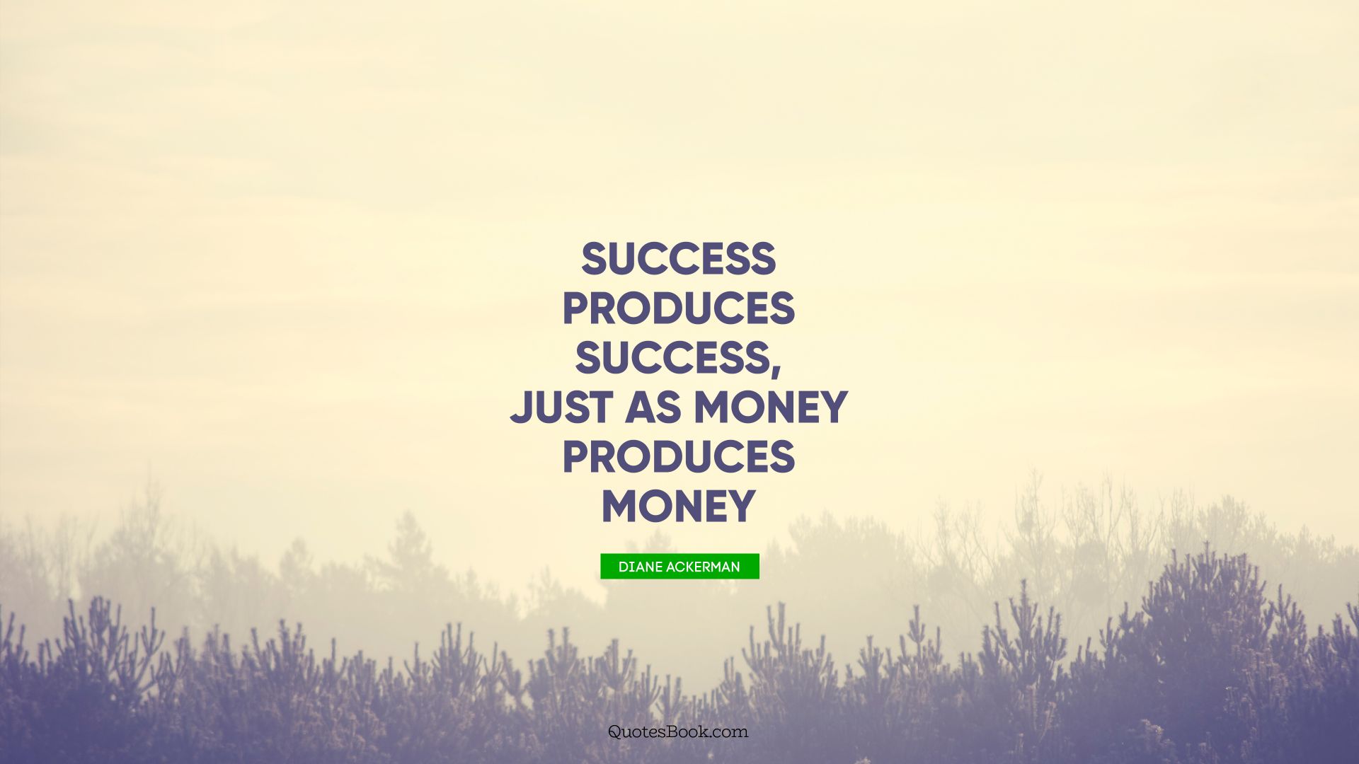 Success produces success, just as money produces money. - Quote by Diane Ackerman