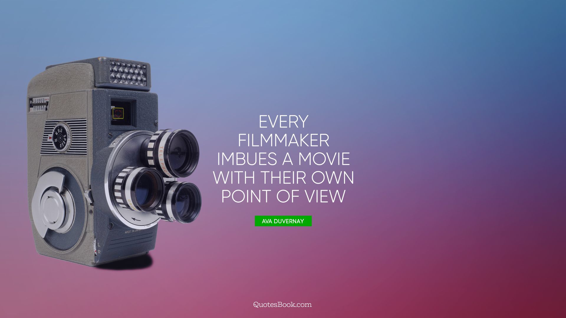 Every filmmaker imbues a movie with their own point of view. - Quote by Ava DuVernay