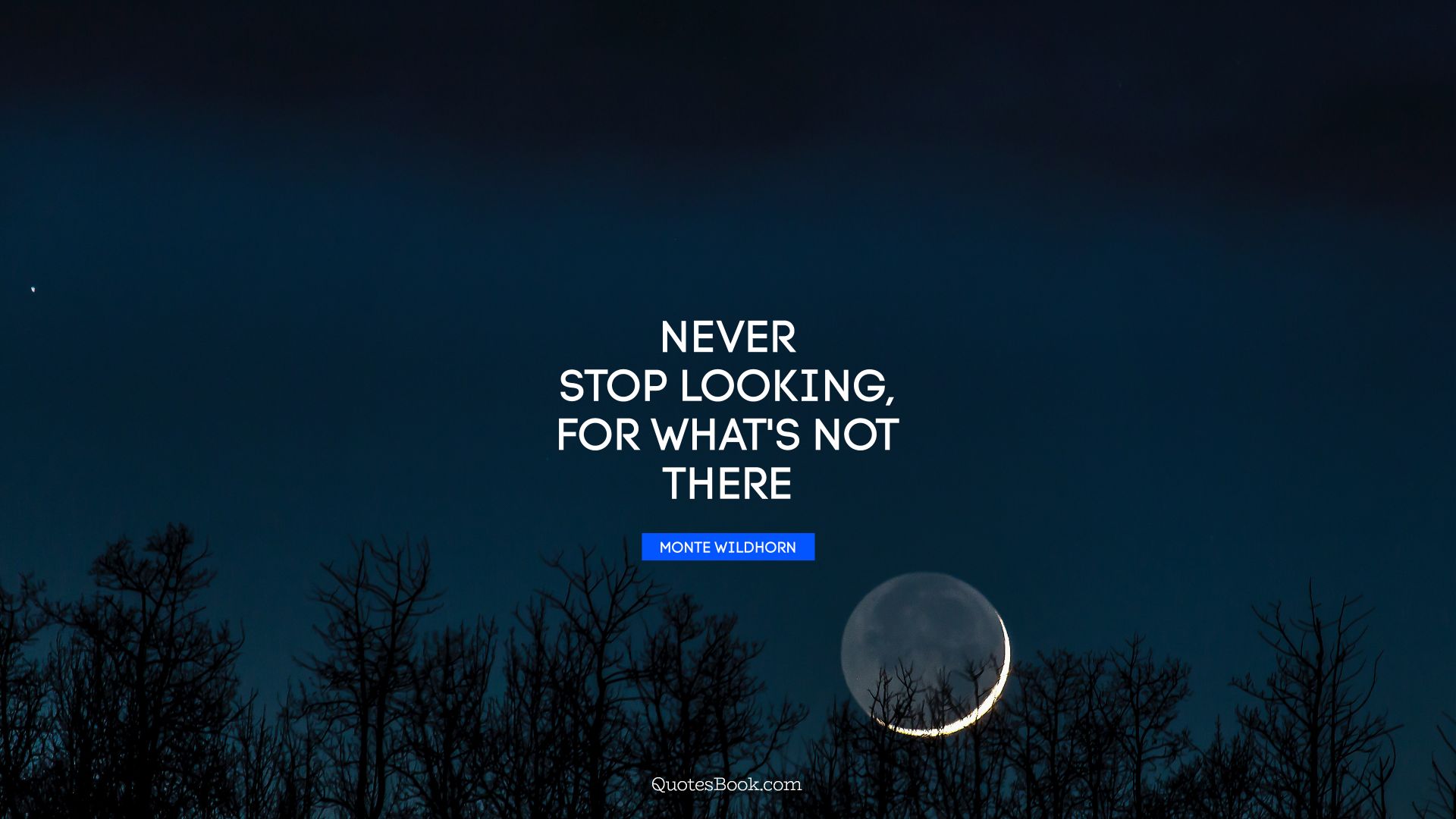 Never stop looking, for what's not there. - Quote by Monte Wildhorn