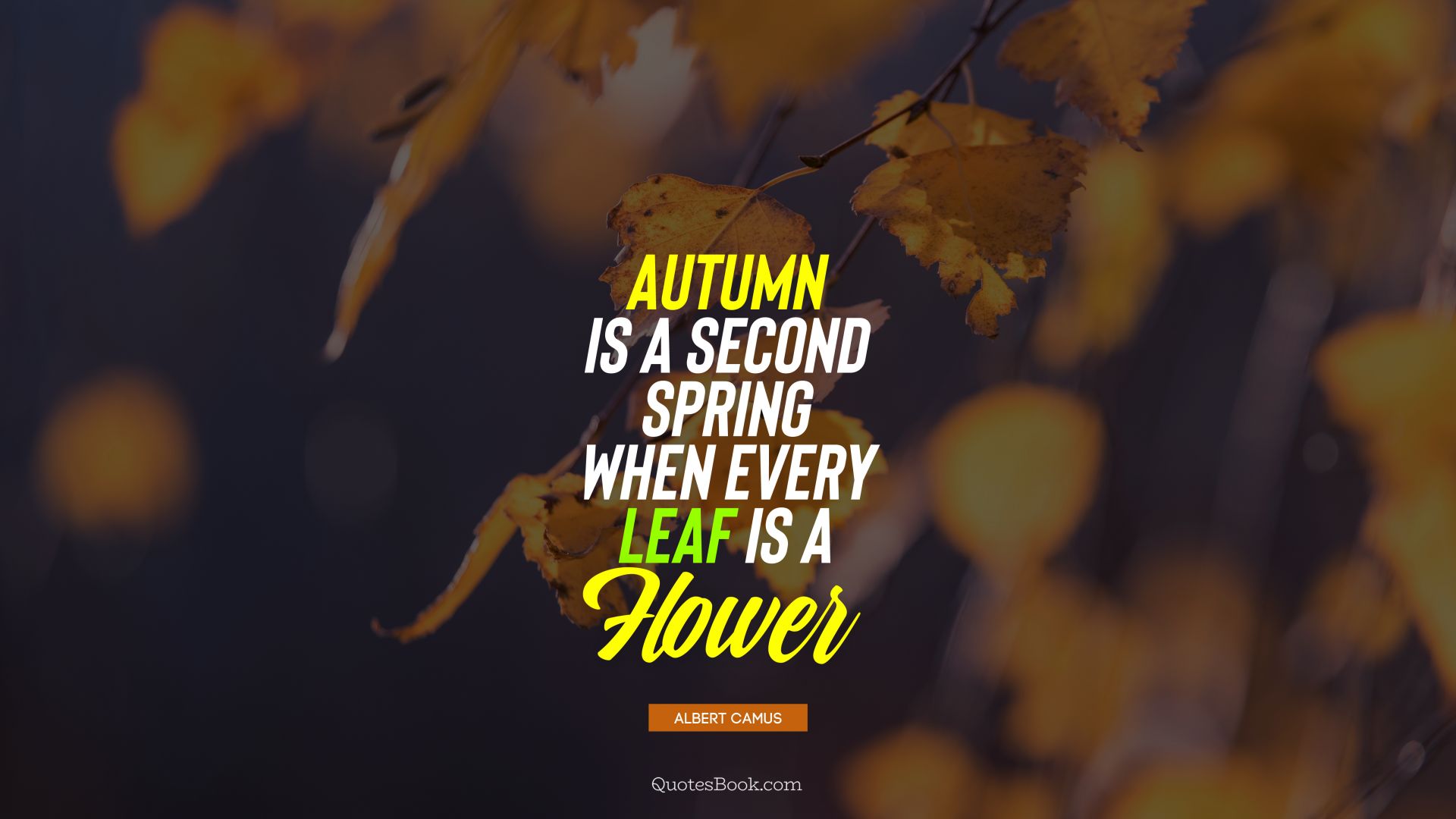Autumn is a second spring when every leaf is a flower. - Quote by Albert Camus