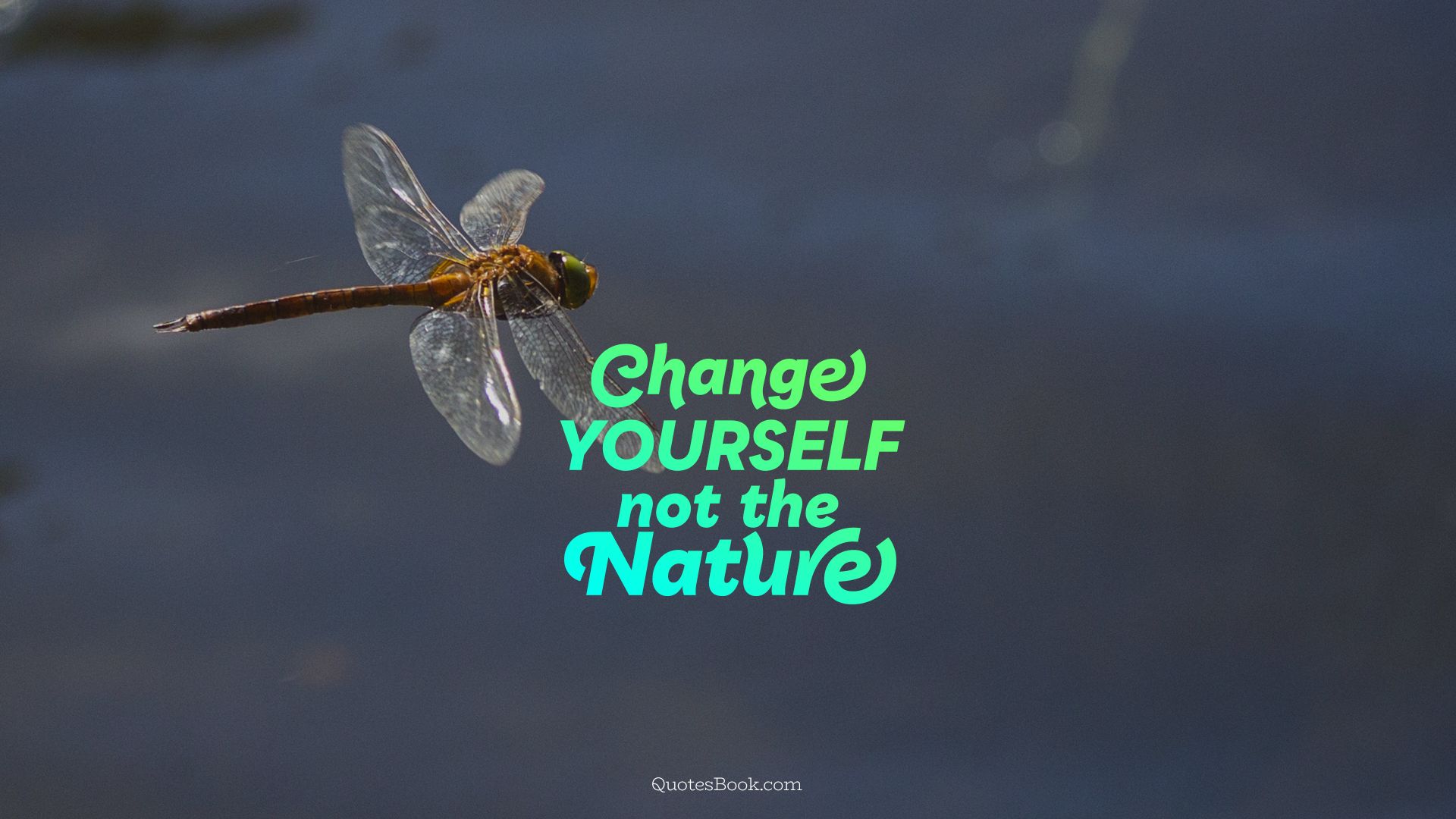 Change yourself not the nature