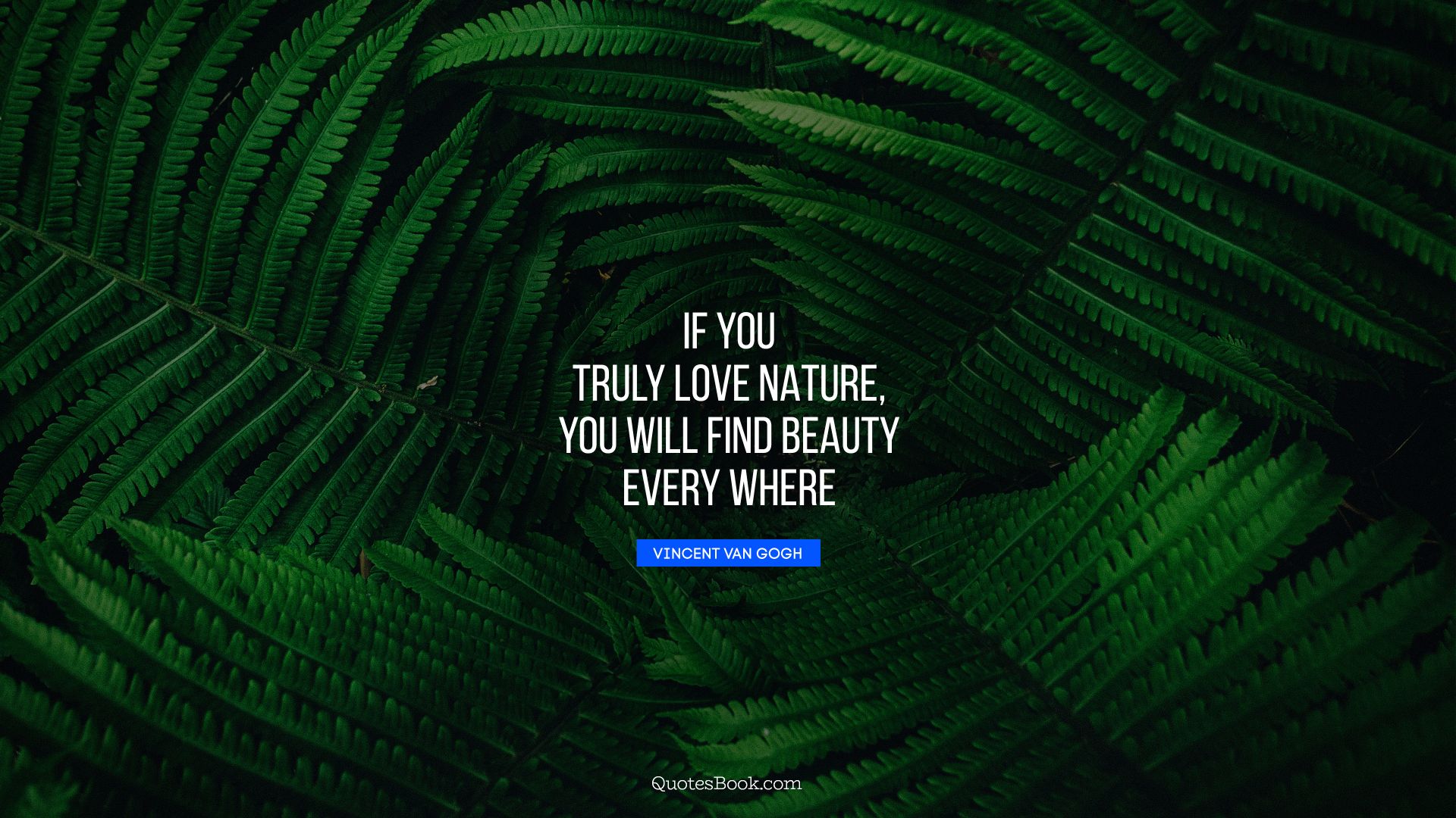 If you truly love nature, you will find beauty every where. - Quote by Vincent van Gogh