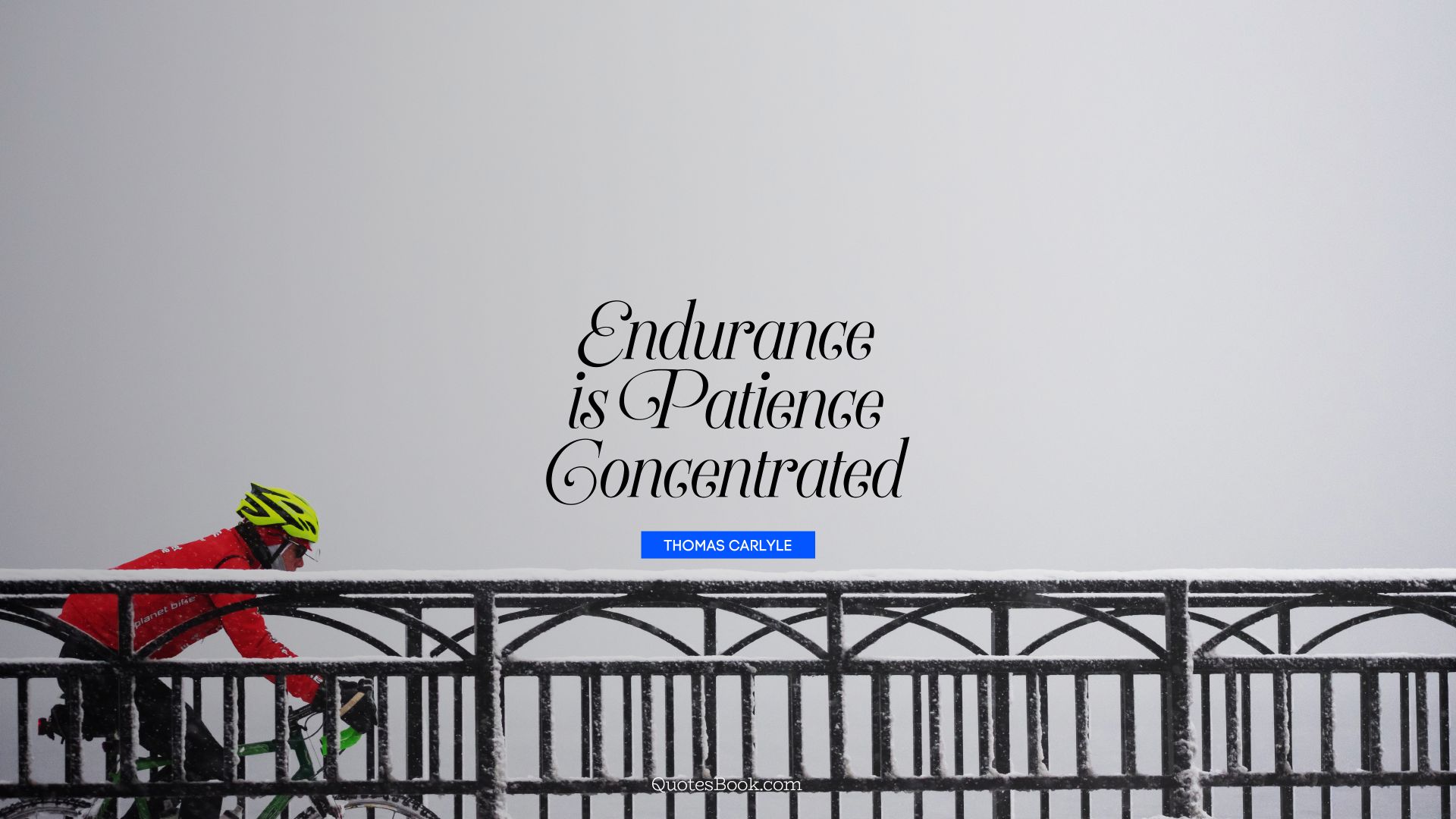 Endurance is patience concentrated. - Quote by Thomas Carlyle