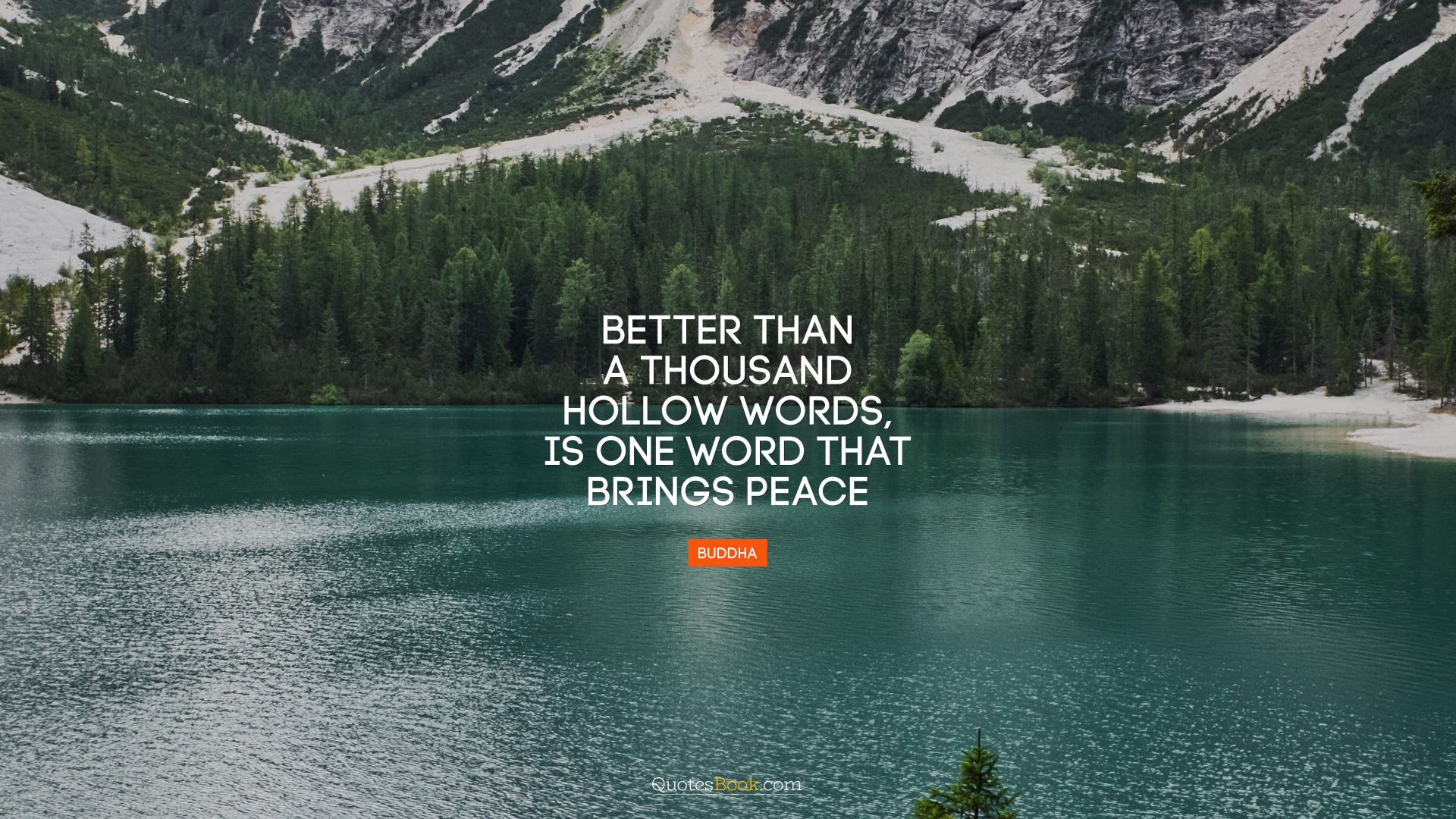 Better than a thousand hollow words, is one word that brings peace. - Quote by Buddha