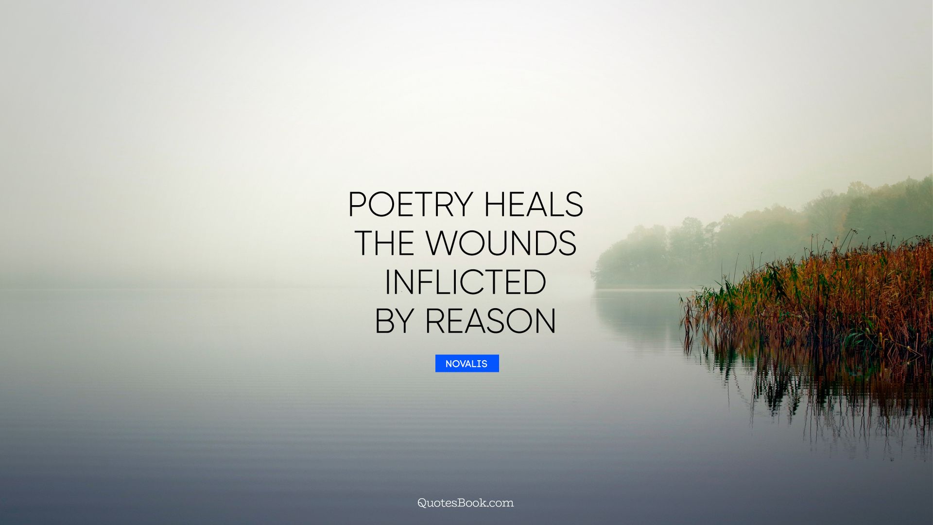 Poetry heals the wounds inflicted by reason. - Quote by Novalis