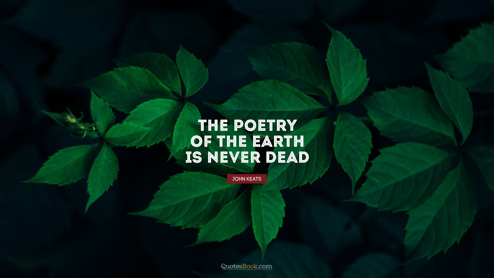 The poetry of the earth is never dead. - Quote by John Keats
