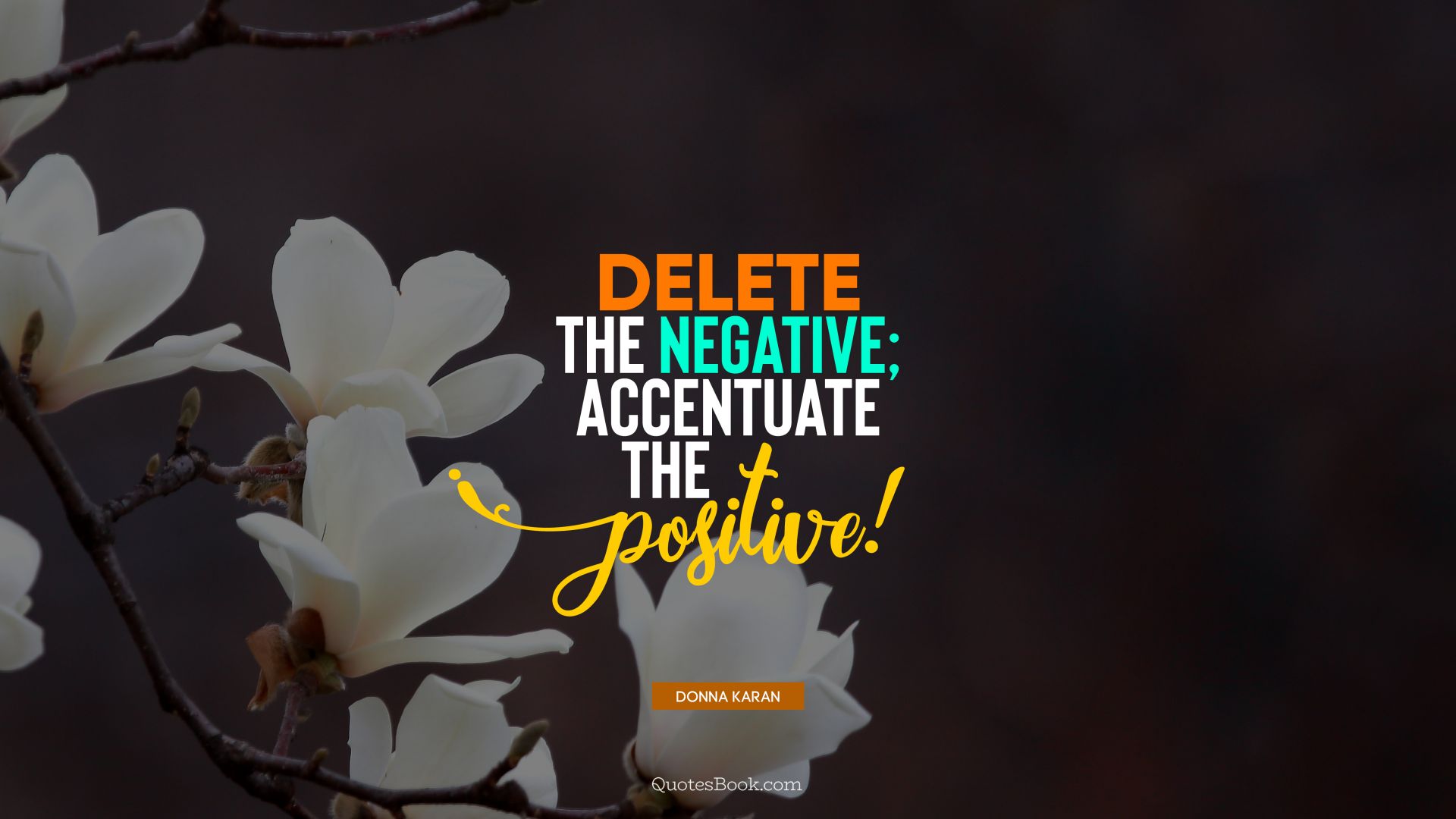 Delete the negative; accentuate the positive!. - Quote by Donna Karan