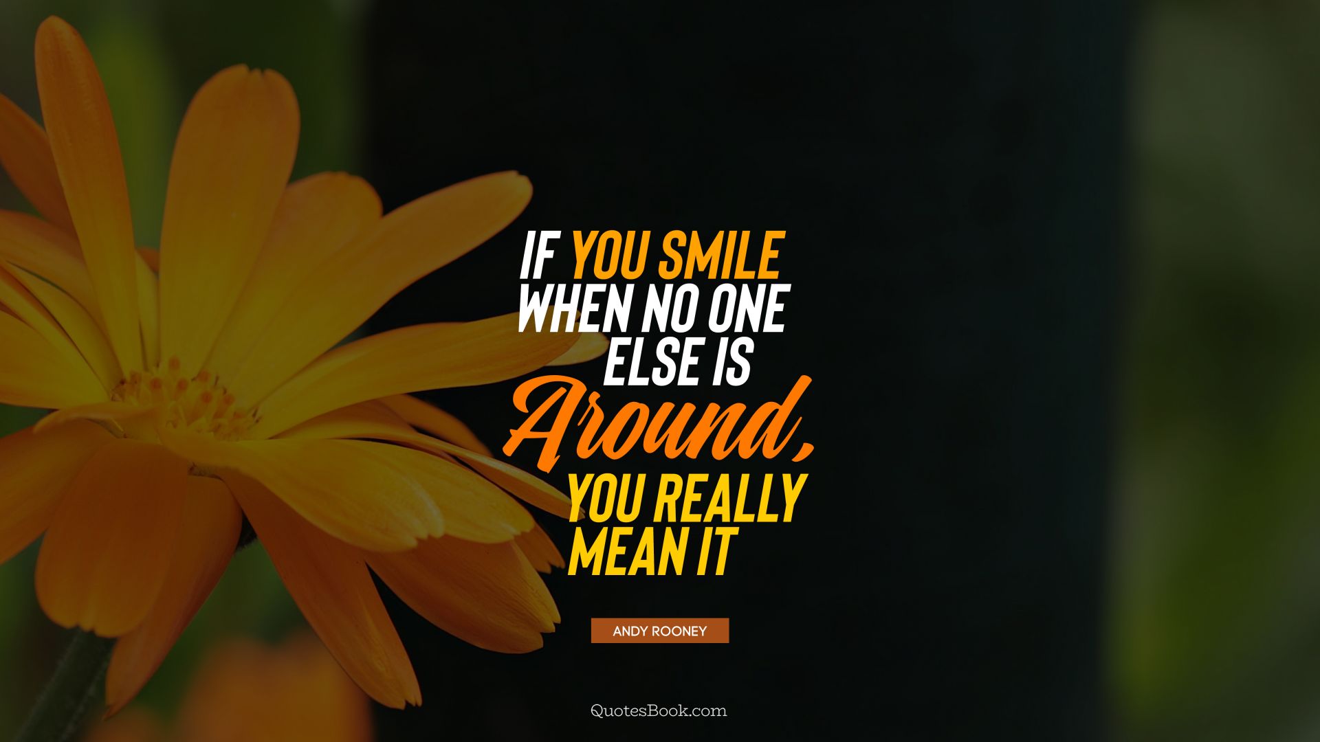 If you smile when no one else is around, you really mean it. - Quote by Andy Rooney