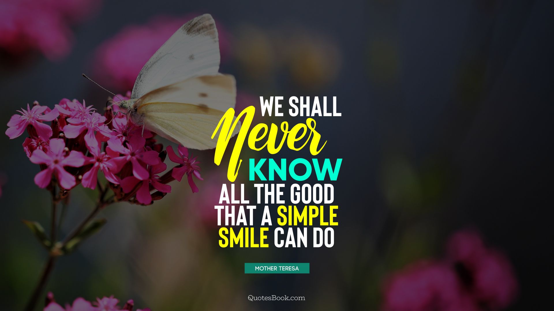 We shall never know all the good that a simple smile can do. - Quote by Mother Teresa