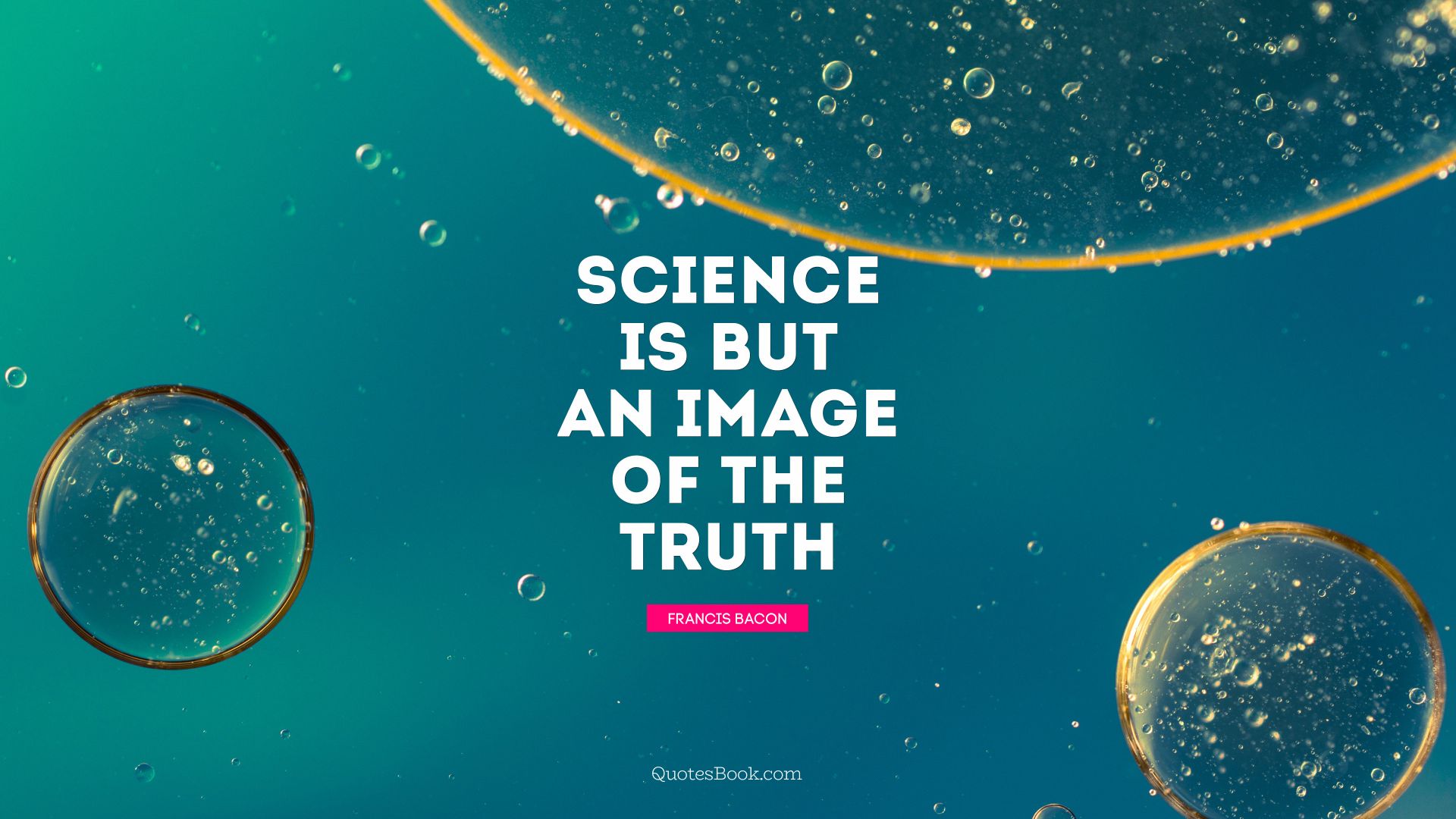 Science is but an image of the truth. - Quote by Francis Bacon