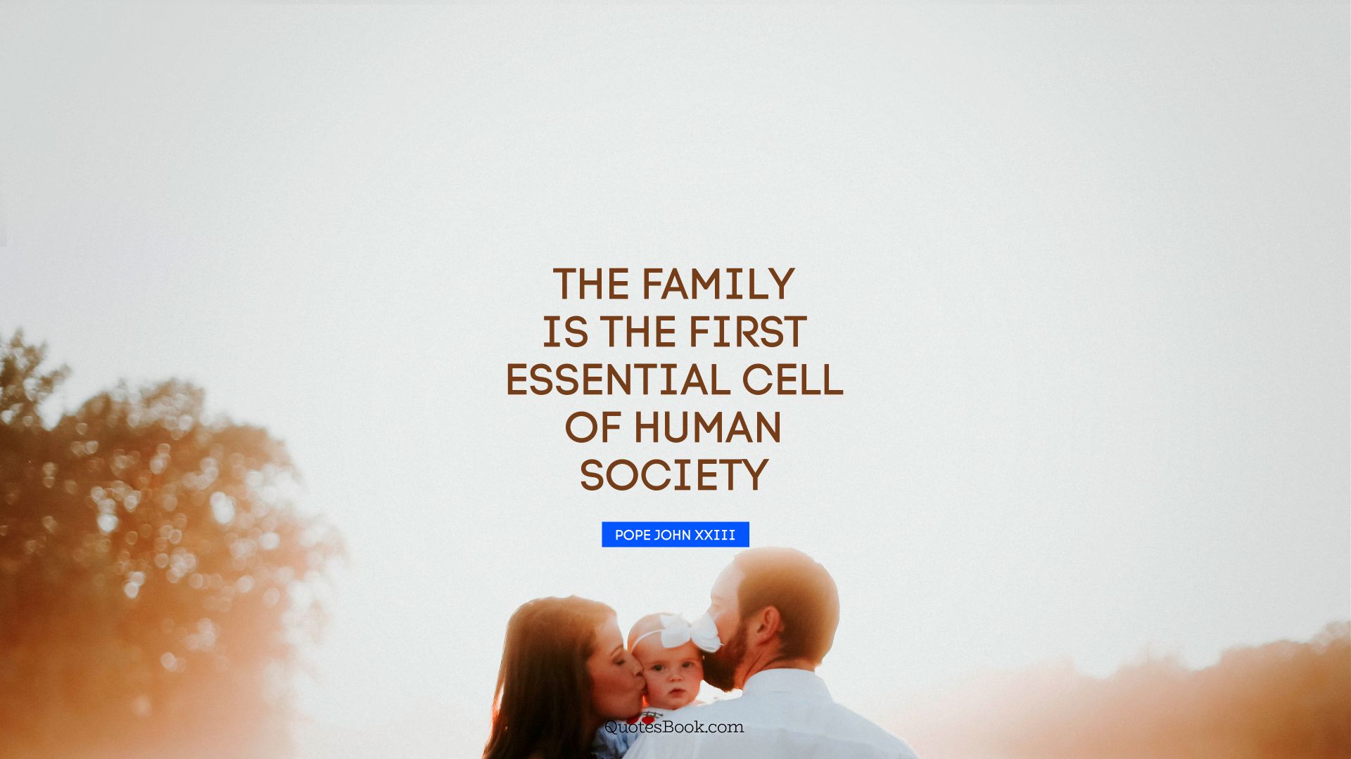 The family is the first essential cell of human society. - Quote by Pope John XXIII