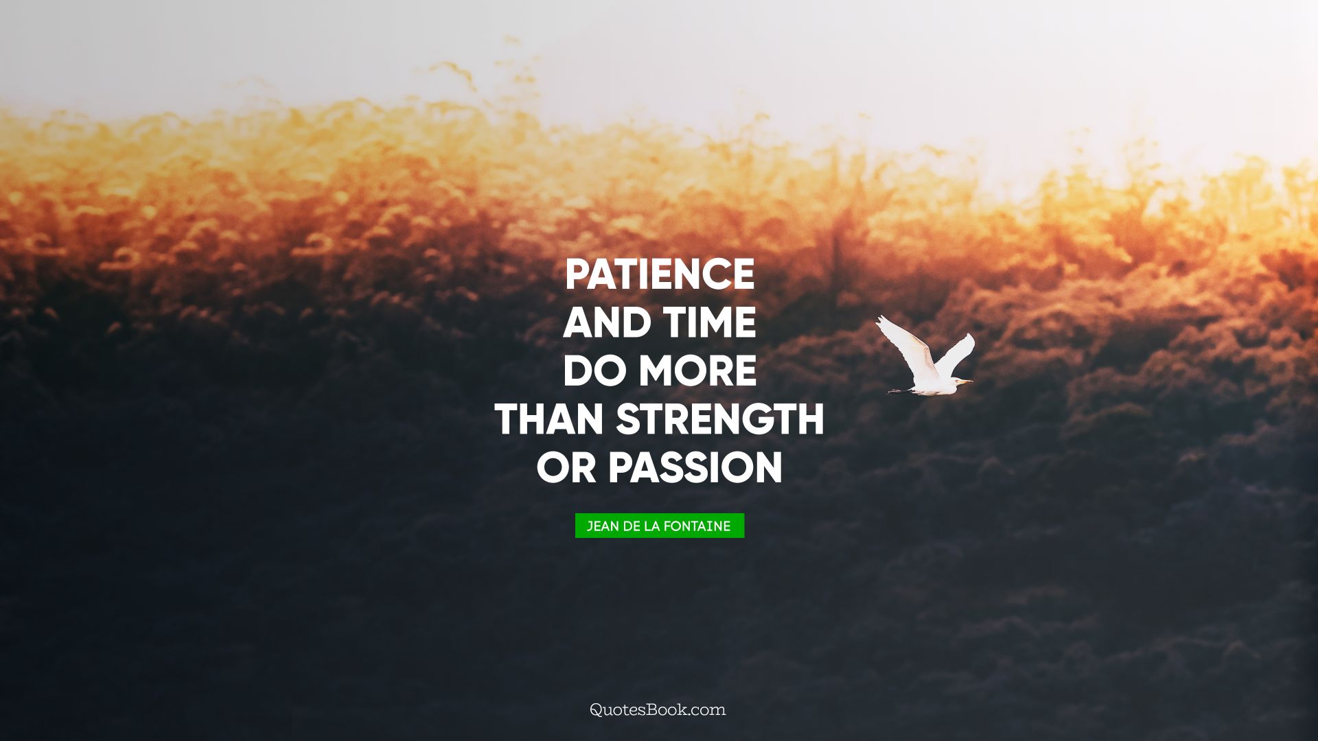 Patience and time do more than strength or passion. - Quote by Jean de La Fontaine