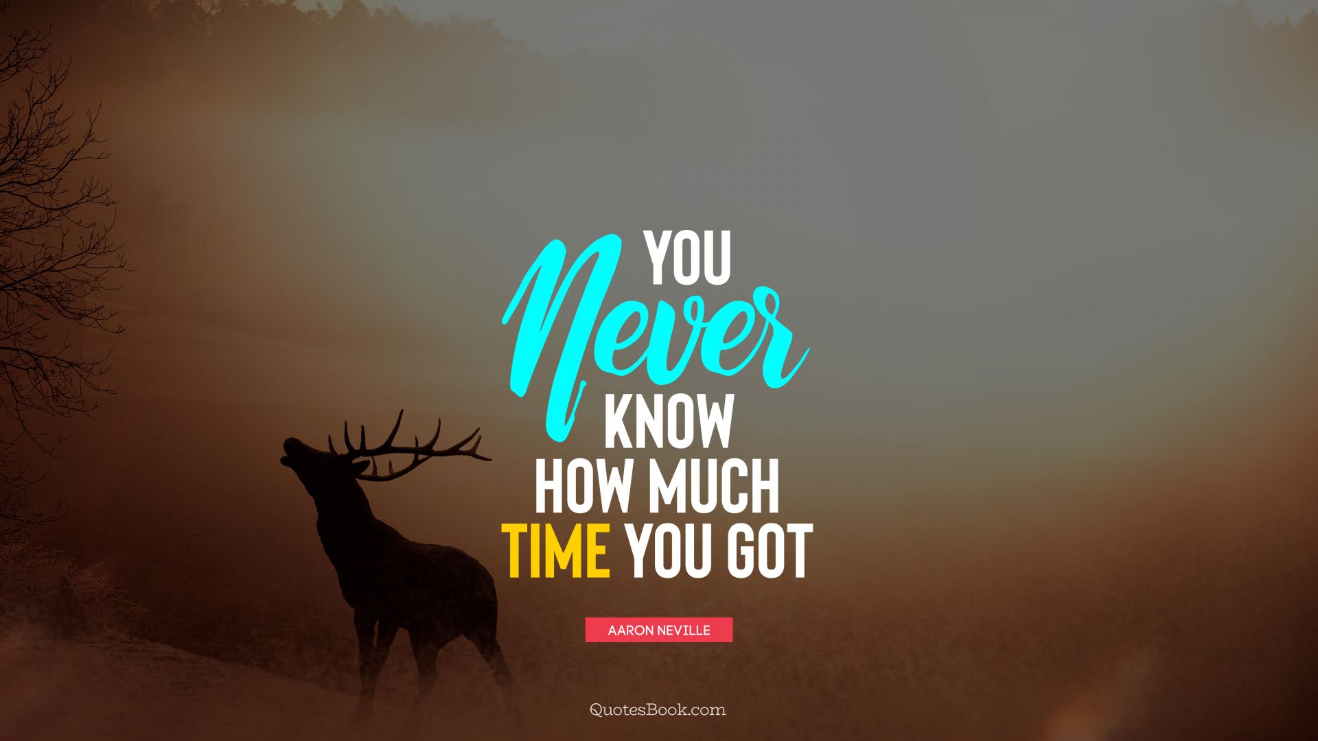 You never know how much time you got. - Quote by Aaron Neville