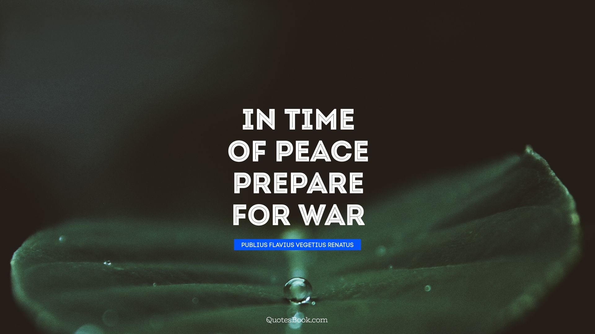 In time of peace prepare for war. - Quote by Publius Flavius Vegetius Renatus