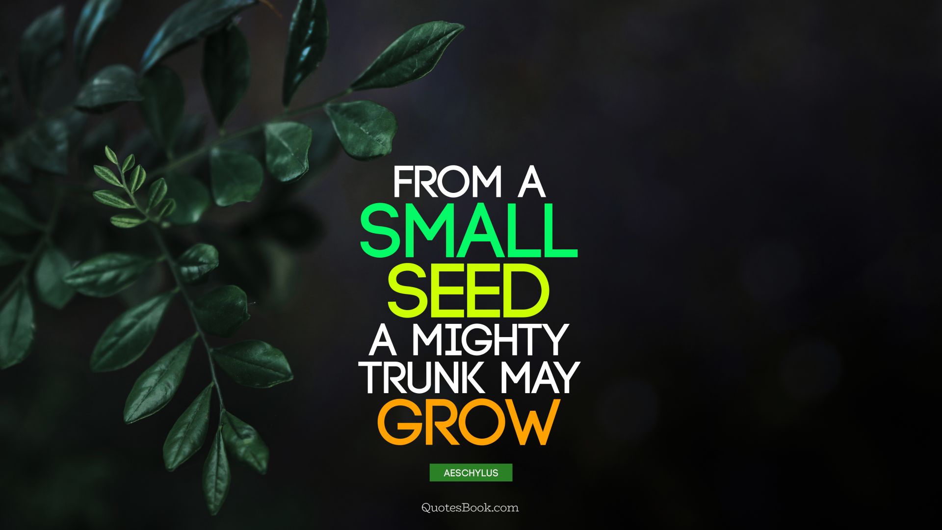 From a small seed a mighty trunk may grow. - Quote by Aeschylus