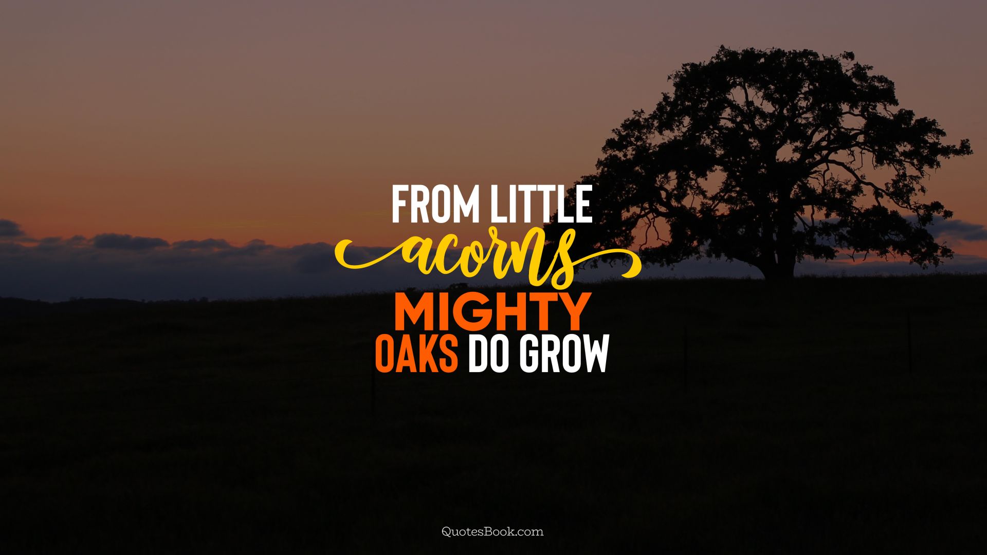 From little acorns mighty oaks do grow