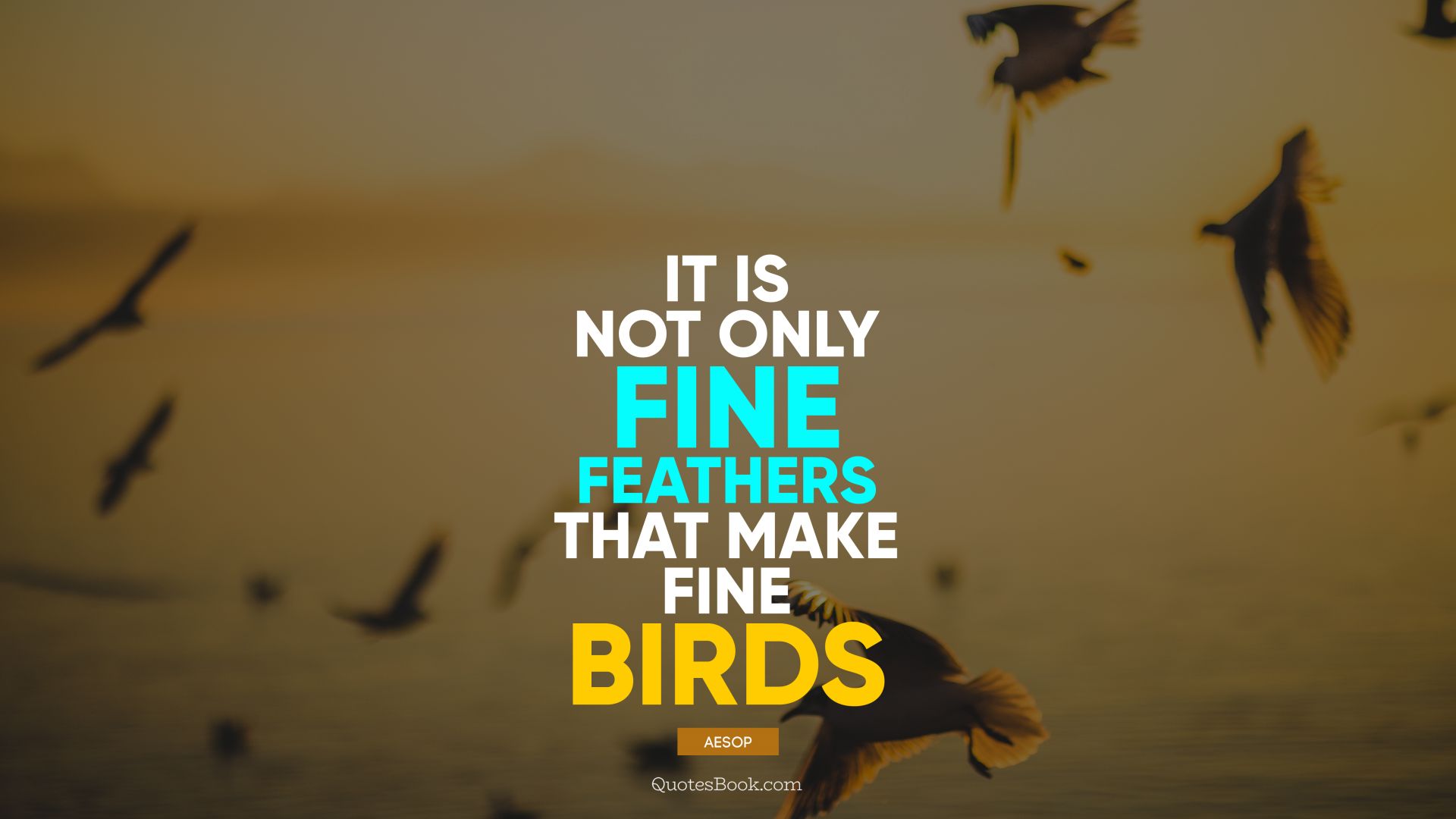 It is not only fine feathers that make fine birds. - Quote by Aesop