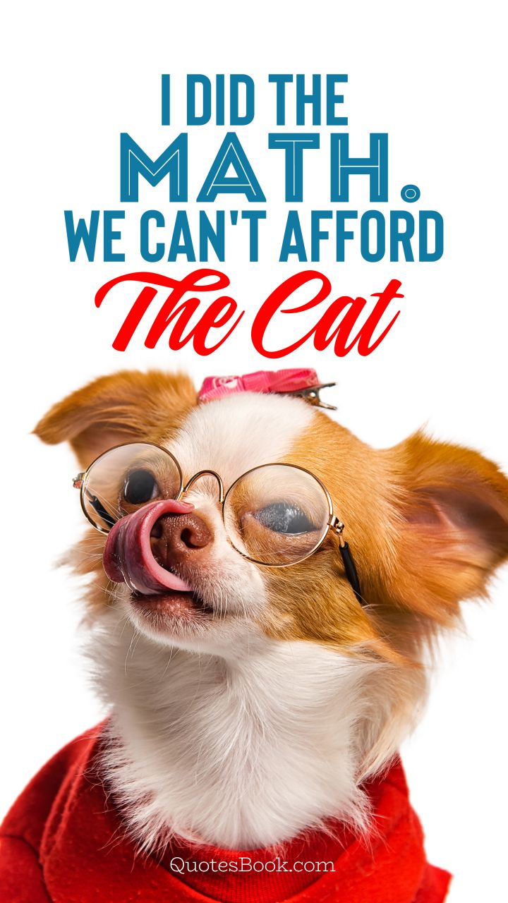 I did the math. We can't afford the cat