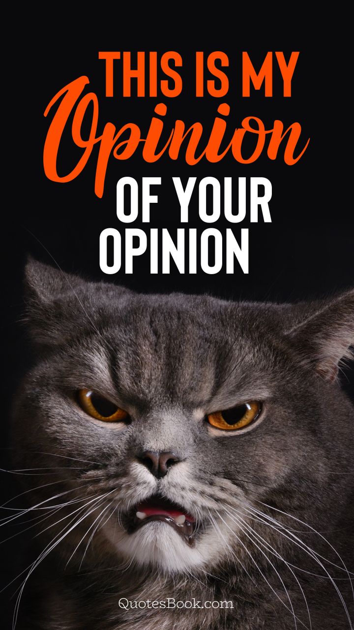 This is my opinion of your opinion