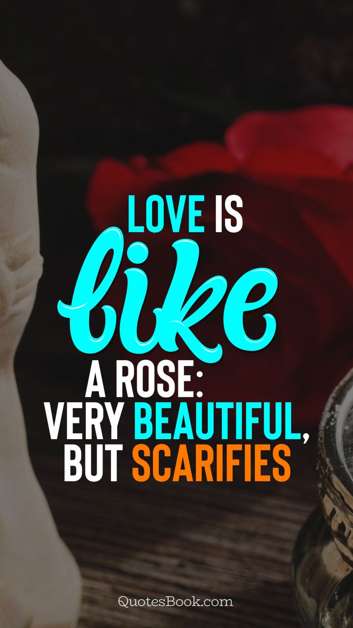 Love is like a rose: very beautiful, but scarifies. - Quote by QuotesBook