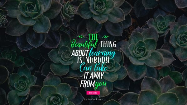 Beauty Quote - The beautiful thing about learning is nobody can take it away from you. B.B. King 