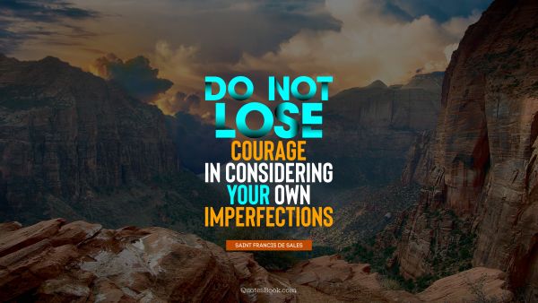 QUOTES BY Quote - Do not lose courage in considering your own imperfections. Saint Francis de Sales