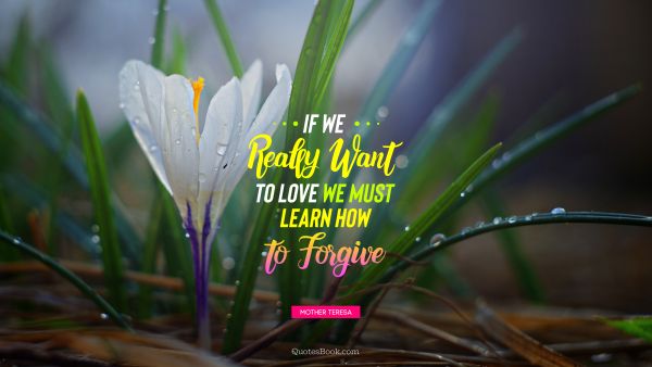 Search Results Quote - If we really want to love we must learn how to forgive. Mother Teresa