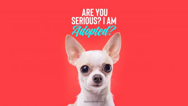 Memes Quote - Are you serious? I am adopted?. Unknown Authors