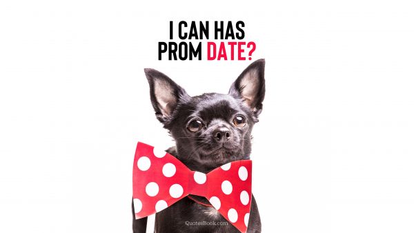 Memes Quote - I can has prom date?. Unknown Authors
