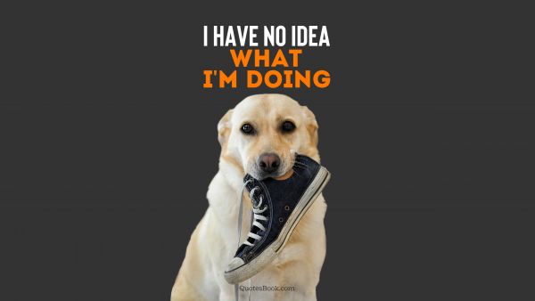 POPULAR QUOTES Quote - I have no idea what I'm doing. Unknown Authors