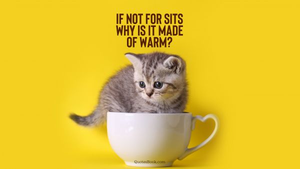 Memes Quote - If not for sits why is it made of warm?. Unknown Authors