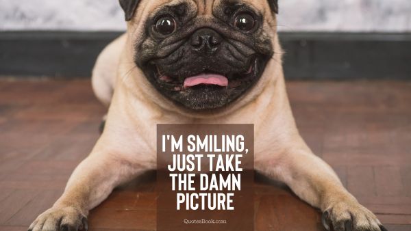 Memes Quote - I'm smiling, just take the damn picture. Unknown Authors