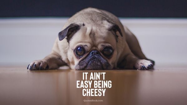 Memes Quote - It ain't easy being cheesy. Unknown Authors