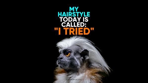 Search Results Quote - My hairstyle today is called: "I tried". Unknown Authors