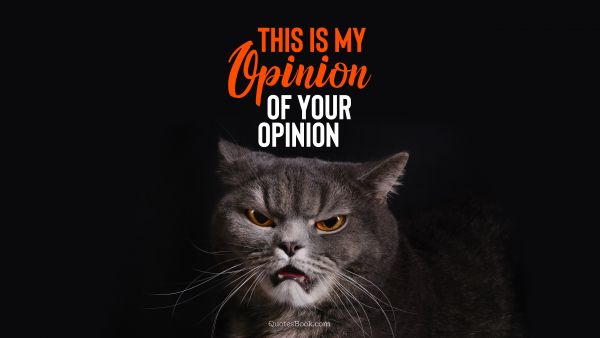 This is my opinion of your opinion