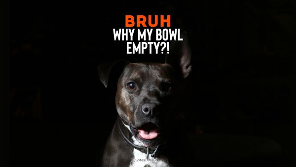Bruh why my bowl empty?!