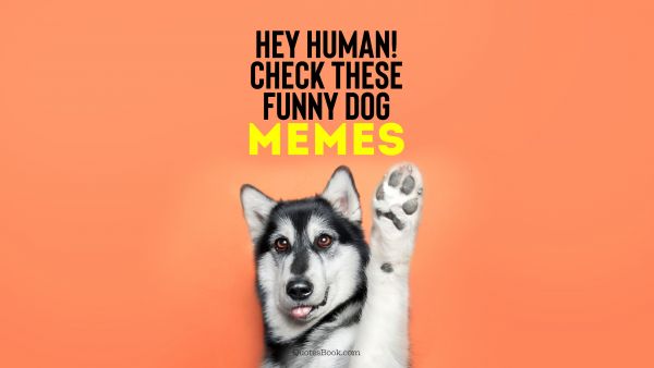 Hey human! Check these funny dog memes