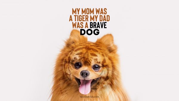 My mom was a tiger my dad was a brave dog