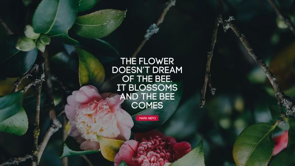 The flower doesn’t dream of the bee. It blossoms and the bee comes