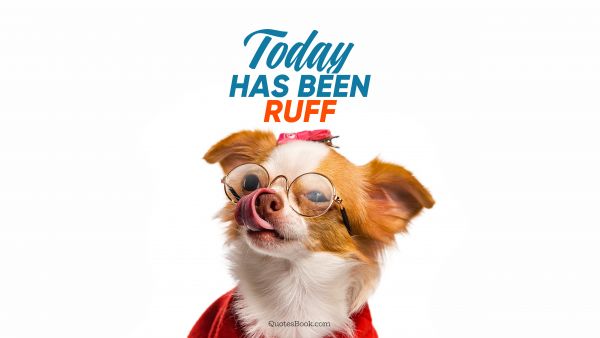 Today has been ruff