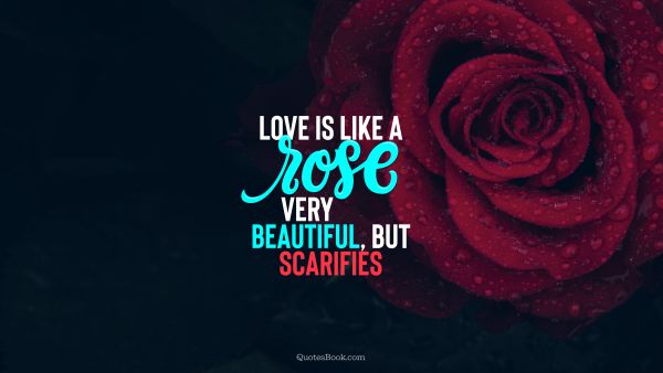 Love Quote - Love is like a rose: very beautiful, but scarifies. QuotesBook