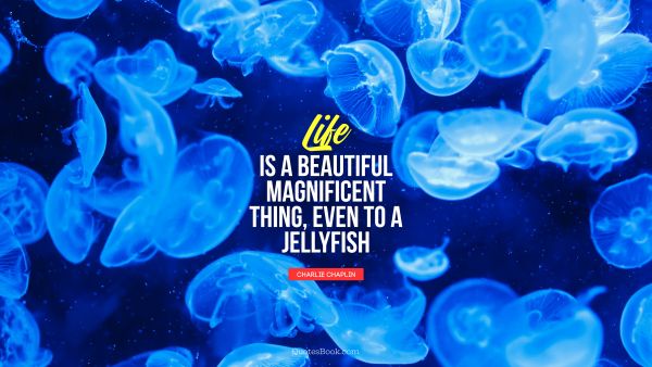 Life is a beautiful magnificent thing, even to a jellyfish