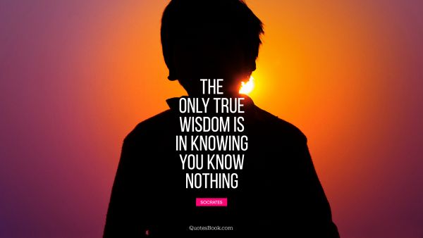Wisdom Quote - The only true wisdom is in knowing you know nothing. Socrates