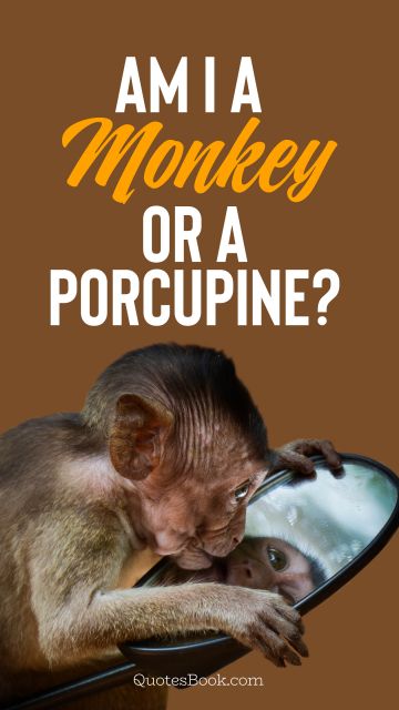Memes Quote - Am I a monkey or a porcupine?. Unknown Authors
