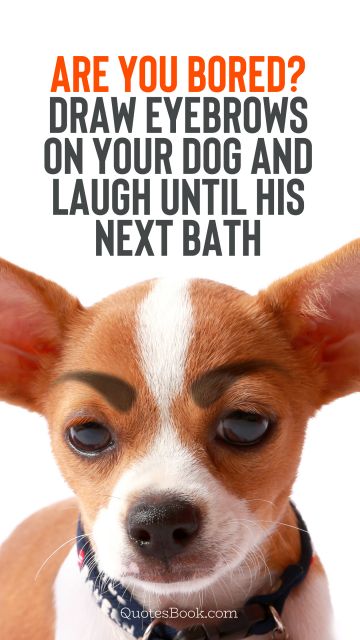 Search Results Quote - Are you bored? Draw eyebrows on your dog and laugh until his next bath. Unknown Authors