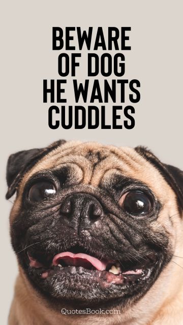 Memes Quote - Beware of dog he wants cuddles. Unknown Authors